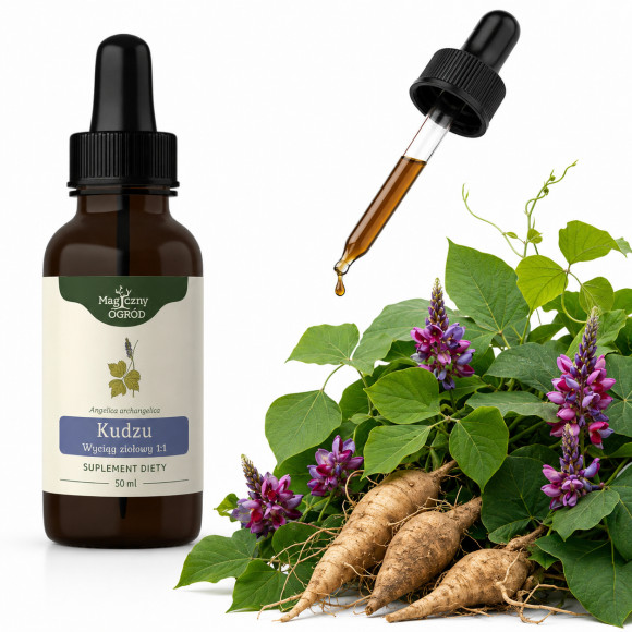 NANGA KUDZU WYCIĄG ziołowy 50ml wsparcie: UZALEŻNIENIA STRES NAPIĘCIA