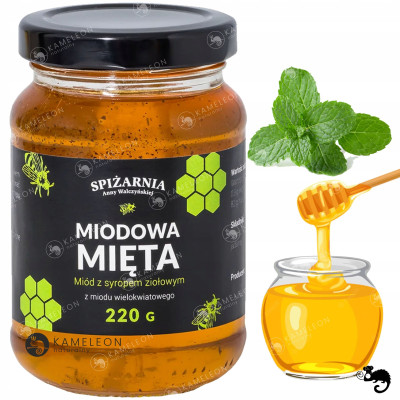 MIODOWA MIĘTA 220g MIÓD WIELOKWIATOWY Z SYROPEM ZIOŁOWYM Z UCIERANEJ MIĘTY