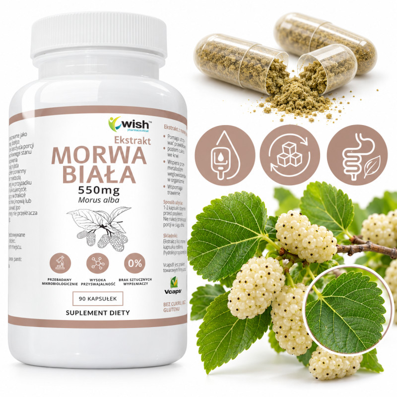 Wish MORWA BIAŁA ekstrakt Z MORWY 550mg wsparcie: CUKRZYCA 90k KRÓTKA DATA