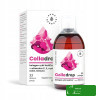 COLLADROP KOLAGEN RYBI NatiCol w PŁYNIE 500ml + WITAMINA C E CYNK SELEN