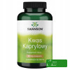 Swanson KWAS KAPRYLOWY 600mg 60kps pomoc PRZECIWBAKTERYJNY PRZECIWGRZYBICZY