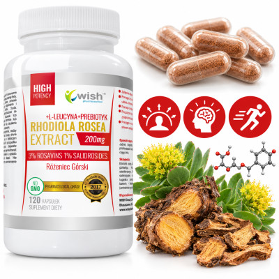 Wish RHODIOLA ROSEA extract 200mg RÓŻENIEC GÓRSKI 120kps wsparcie U.NERWOWY
