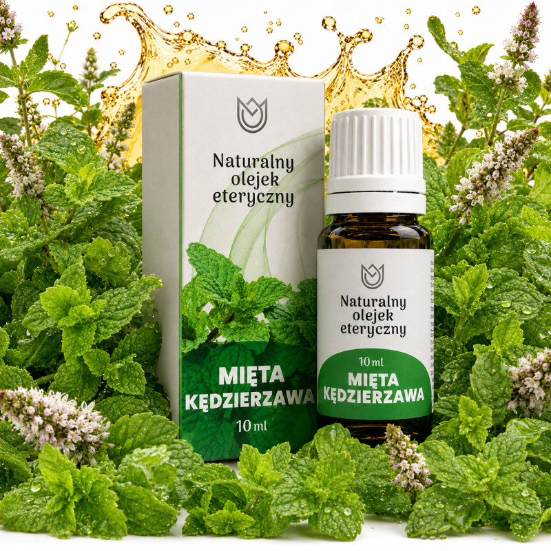NATURALNY OLEJEK eteryczny MIĘTA KĘDZIERZAWA 10ml Naturalne Aromaty