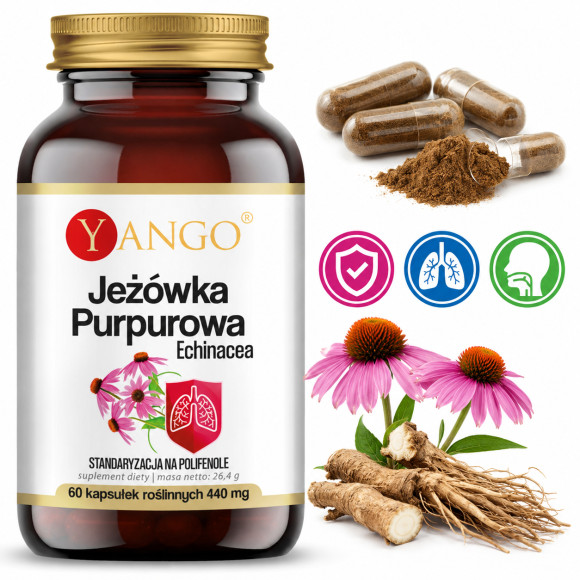 Yango JEŻÓWKA PURPUROWA ECHINACEA wsparcie: ODPORNOŚĆ U. ODDECHOWY 60kaps