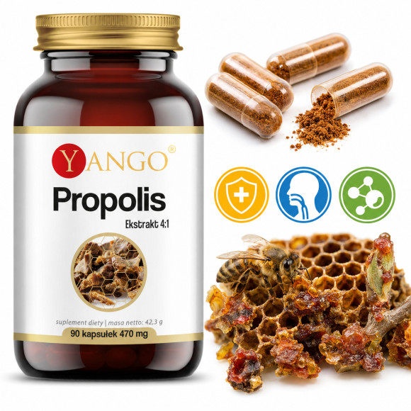 Yango PROPOLIS Ekstrakt 4:1 NATURALNY ANTYBIOTYK wsparcie: INFEKCJE 90kaps