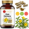 Yango ZIELE DAMIANA 440mg wsparcie: POTENCJA SAMOPOCZUCIE STRES 90kaps
