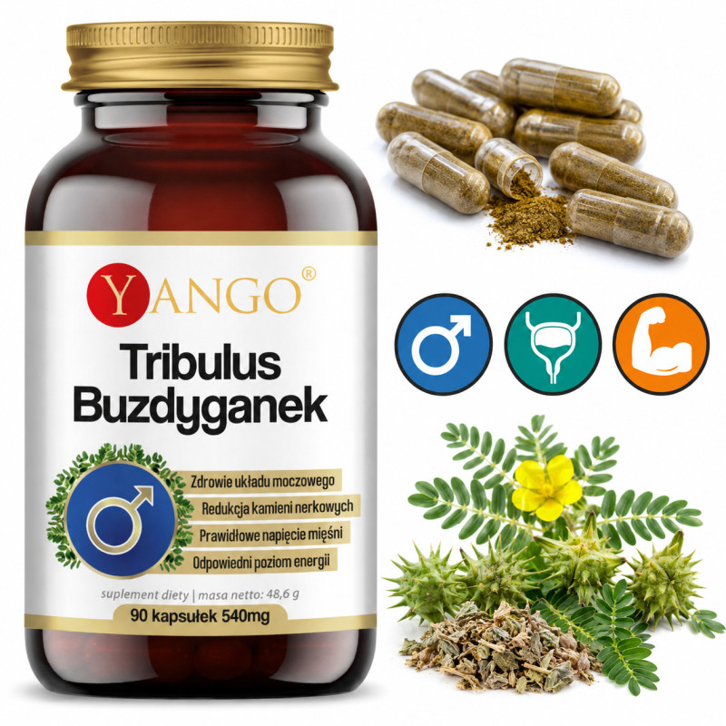 Yango TRIBULUS BUZDYGANEK wsparcie: U MOCZOWY KAMIENIE NERKOWE F. SEKSULANE