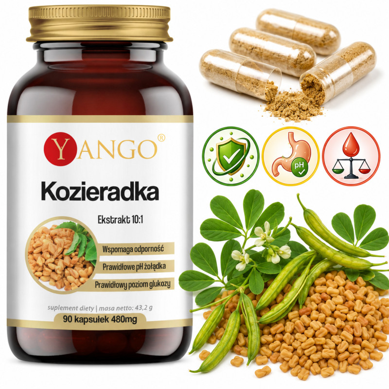Yango KOZIERADKA 480mg wsparcie CHOLESTEROL CUKRZYCA 90 kapsułek