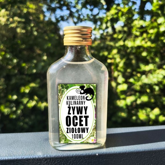 ŻYWY OCET ZIOŁOWY Z ZIÓŁ 100ml 0,1L niepasteryzowany