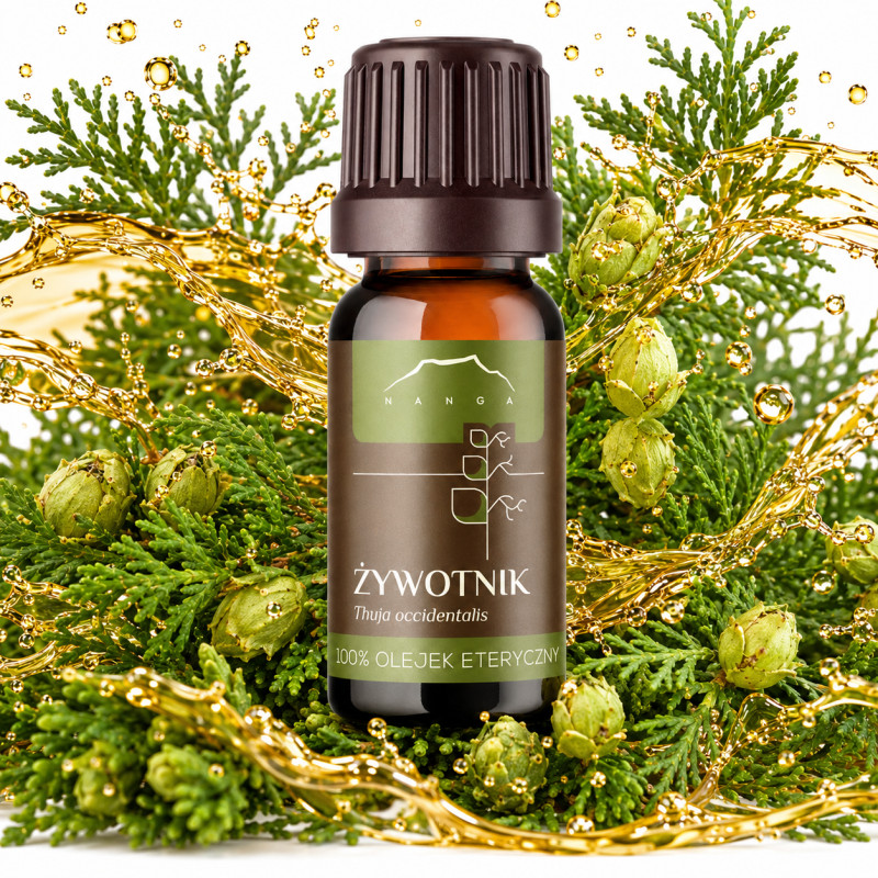NANGA NATURALNY OLEJEK ETERYCZNY 100% ŻYWOTNIK ŻYWOTNIKOWY 10ml inhalacje