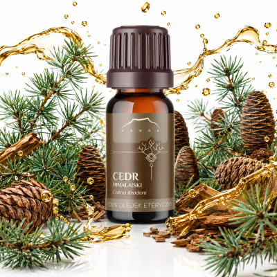 NANGA NATURALNY OLEJEK ETERYCZNY 100% CEDR HIMALAJSKI 10ml podczas infekcji