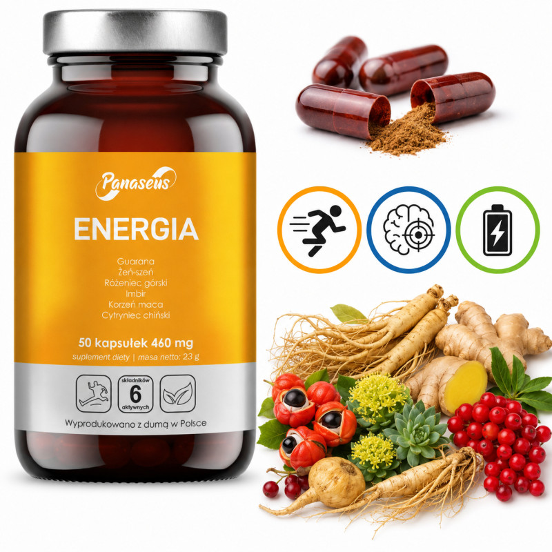 Yango Panaseus ENERGIA guarna żeń szeń różeniec maca cytryniec imbir 50k