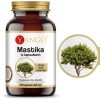 Yango MASTIKA 480mg 60 kapsułek wsparcie: UKŁAD POKARMOWY