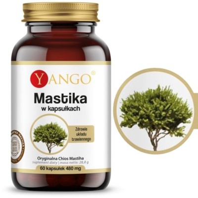 Yango MASTIKA 480mg 60 kapsułek wsparcie: UKŁAD POKARMOWY