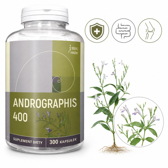 NANGA ANDROGRAPHIS 10% ekstrakt wsparcie ODPORNOŚĆ 400MG aż 300 KAPSUŁEK !