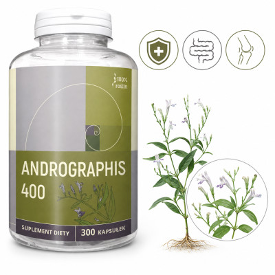 NANGA ANDROGRAPHIS 10% ekstrakt wsparcie ODPORNOŚĆ 400MG aż 300 KAPSUŁEK !