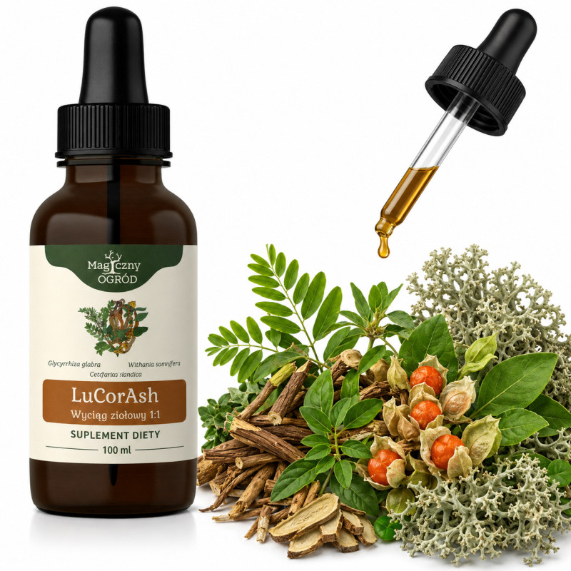 NANGA LuCorAsh LUKRECJA + CORDYCEPS + ASHWAGANDHA 100ml pomoc ENERGIA STRES