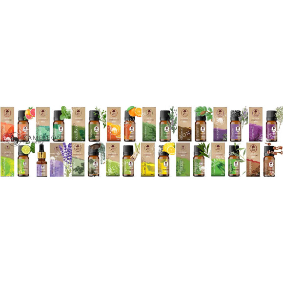 OLEJEK ETERYCZNY 100% ROZMARYNOWY ROZMARYN 10ml OLEJEK ETERYCZNY 100% ROZMARYNOWY ROZMARYN 10ml