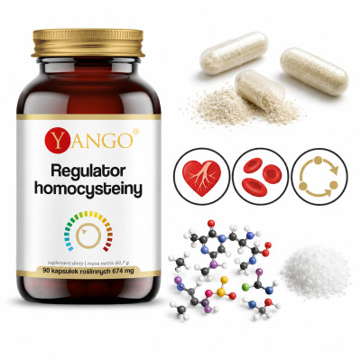 Yango REGULATOR HOMOCYSTEINY BETAINA CHOLINA B12 90 kapsułek