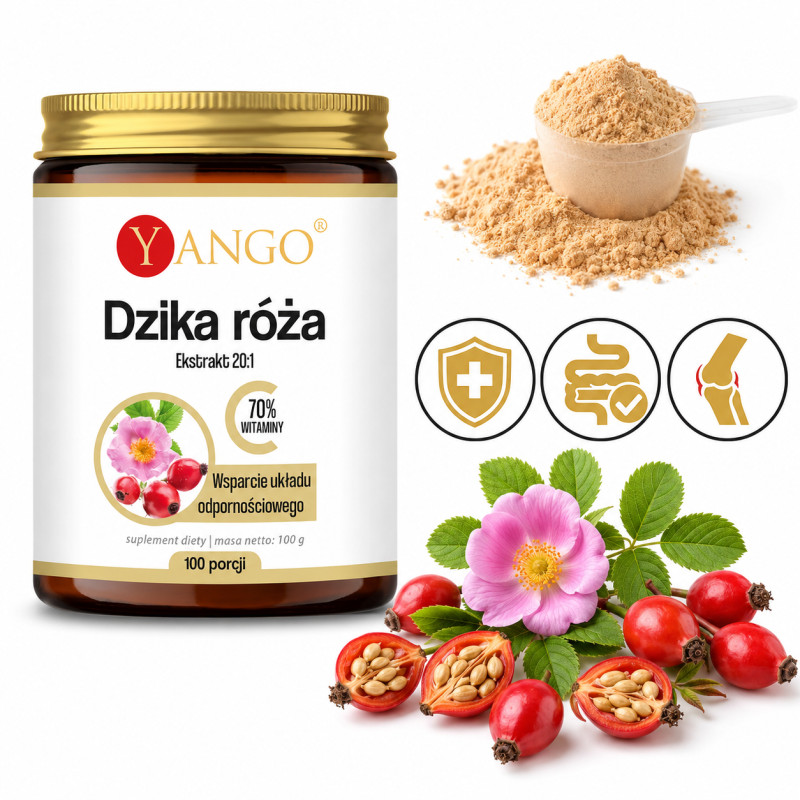 Yango DZIKA RÓŻA w proszku 100g naturalna witamina C
