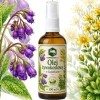KAMELEON Bio OLEJ ŻYWOKOSTOWY Z GOJNIKIEM 100ml ŻYWOKOST na