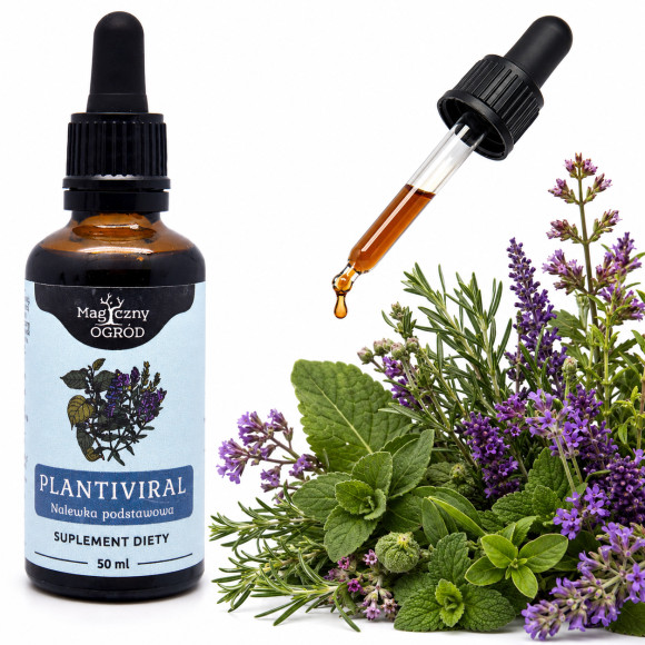 NANGA PODSTAWOWA wg BUHNERA PLANTIVIRAL wsparcie ODPORNOŚĆ 50ml