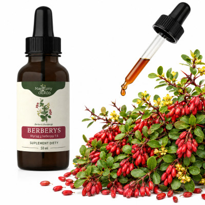 NANGA BERBERYS 50ml  wsparcie: POZIOM CUKRU CHOLESTEROL ODPORNOŚĆ