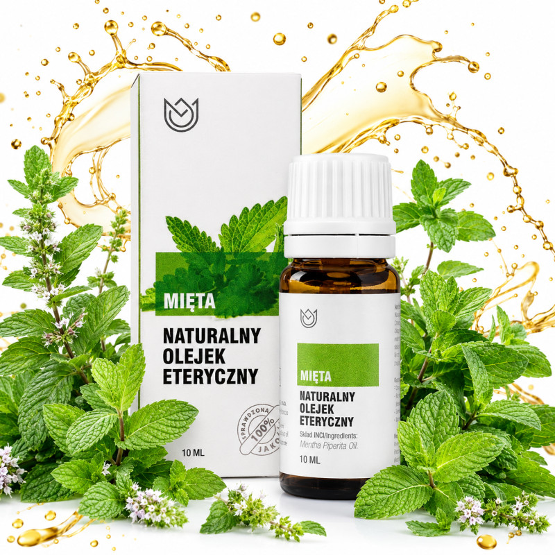 NATURALNY OLEJEK ETERYCZNY MIĘTA Miętowy 10ml MASAŻ DOM Przeziębienie Katar