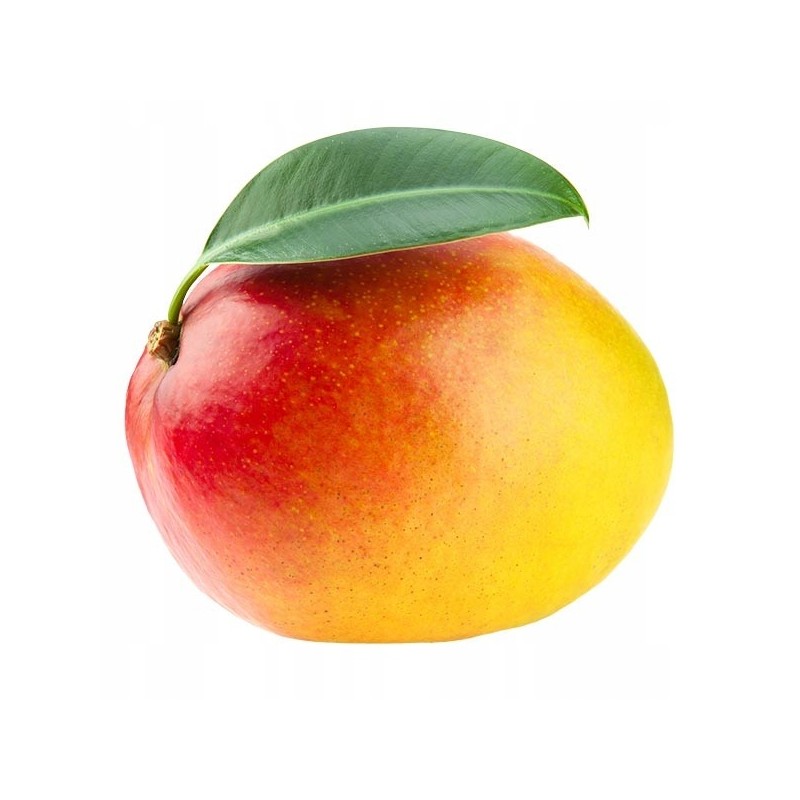 MOGU MOGU napój MANGO z kawałkami galaretki kokosowej 320ml