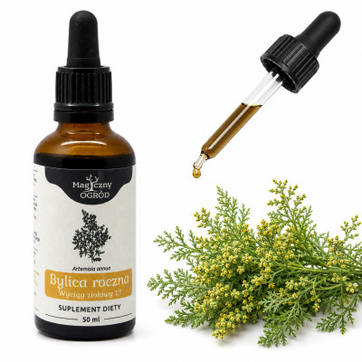 NANGA BYLICA ROCZNA ARTEMISIA WYCIĄG 1:1 50ml wsparcie: PRAWIDŁOWY CUKIER