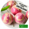 musująca KULA DO KĄPIELI handmade GUMA BALONOWA
