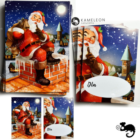BILECIK KARNET ZAWIESZKA PRZYWIESZKA ETYKIETA DO PREZENTU ŚWIĘTA MIX 25szt BILECIK KARNET ZAWIESZKA PRZYWIESZKA ETYKIETA DO PREZENTU ŚWIĘTA MIX 25szt