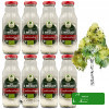 SOK Z BRZOZY 98% polski BIO EKOLOGICZNY 270ml x8 2,16L DARY NATURY