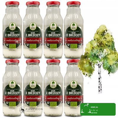 SOK Z BRZOZY 98% polski BIO EKOLOGICZNY 270ml x8 2,16L DARY NATURY