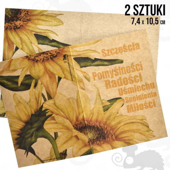 BILECIK karnet ŻYCZENIA SZCZĘŚCIA RADOŚCI 2szt EKO BILECIK karnet ŻYCZENIA SZCZĘŚCIA RADOŚCI 2szt EKO