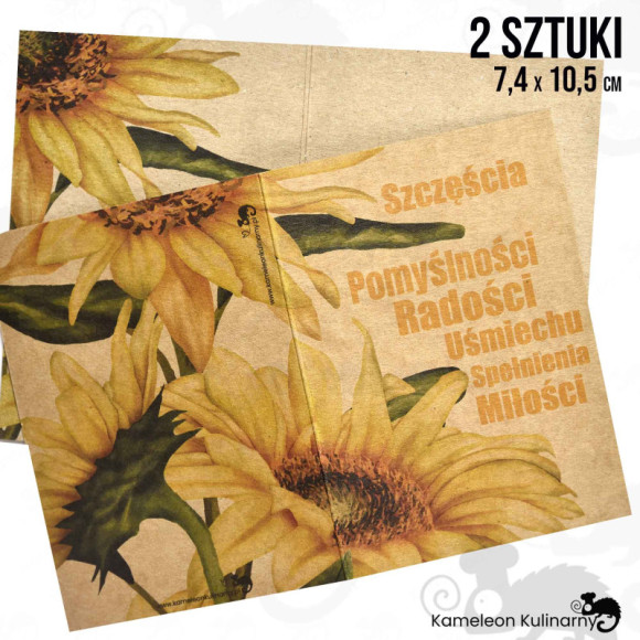 BILECIK karnet ŻYCZENIA SZCZĘŚCIA RADOŚCI 2szt EKO BILECIK karnet ŻYCZENIA SZCZĘŚCIA RADOŚCI 2szt EKO