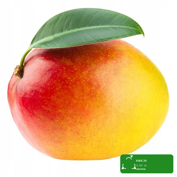 MOGU MOGU napój MANGO z kawałkami galaretki kokosowej 320ml KRÓTKA DATA