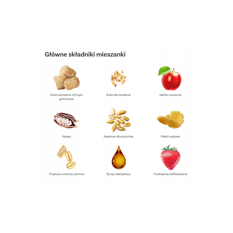 OneDayMore GRANOLA PROTEINOWA TRUSKAWKOWA 400g musli śniadanie 27% białka