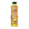 Big-Active EL MELON ZIELONA HERBATA +MELON+KONOPIE 500ml 1SZT KRÓTKA DATA
