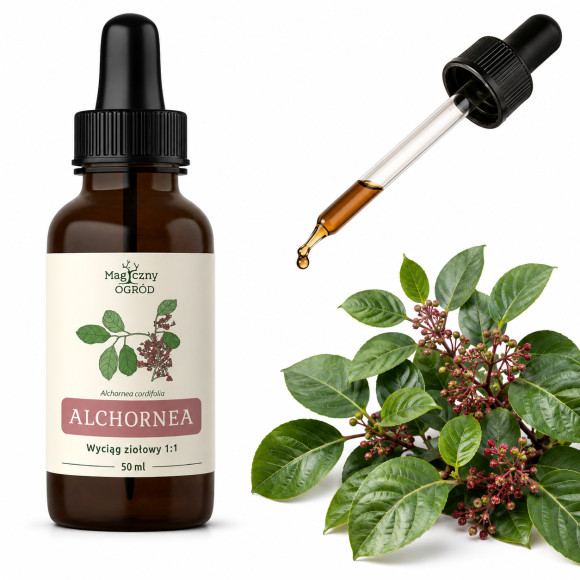 Nanga ALCHORNEA CORDIFOLIA wyciąg ziołowy 50ml