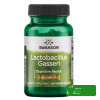 Swanson LACTOBACILLUS GASSERI 60kaps data 09.2026
