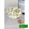 Swanson LACTOBACILLUS GASSERI 60kaps data 09.2026