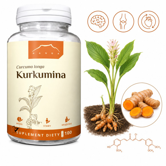 Nanga KURKUMINA Curcuma longa 100kaps wsparcie MÓZG STAWY KRĄŻENIE