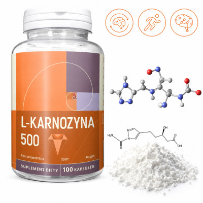 Nanga L-KARNOZYNA 500MG wsparcie NEUROREGENERACJA 100 kapsułek KRÓTKA DATA