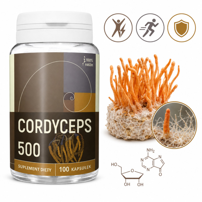 Nanga CORDYCEPS 500 maczużnik 100 kapsułek wsparcie WYDOLNOŚC KONDYCJA