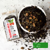 KAMELEON KULINARNY HERBATA CZARNA aromatyzowana TRUSKAWKA MIĘTA 50g