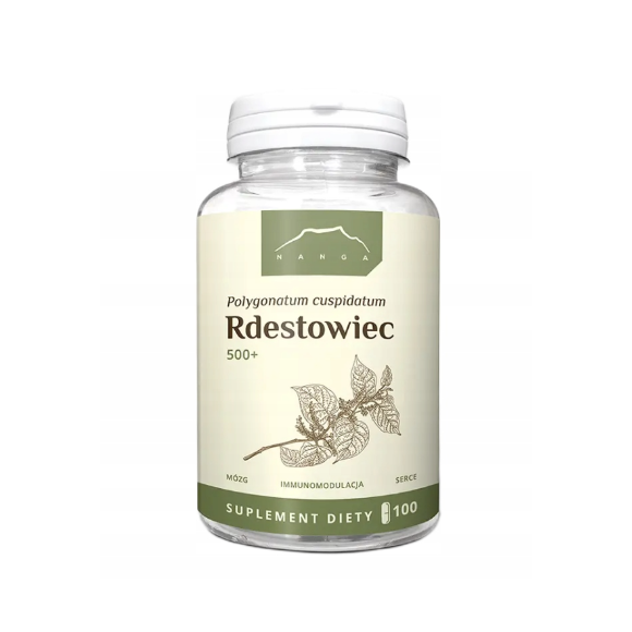 NANGA RDESTOWIEC100 kapsułek 500mg wsparcie: MÓZG SERCE