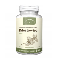 NANGA RDESTOWIEC100 kapsułek 500mg wsparcie: MÓZG SERCE