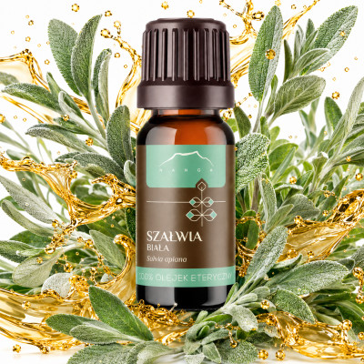 NANGA NATURALNY OLEJEK Eteryczny SZAŁWIA BIAŁA 10ml Pamięć Koncentracja