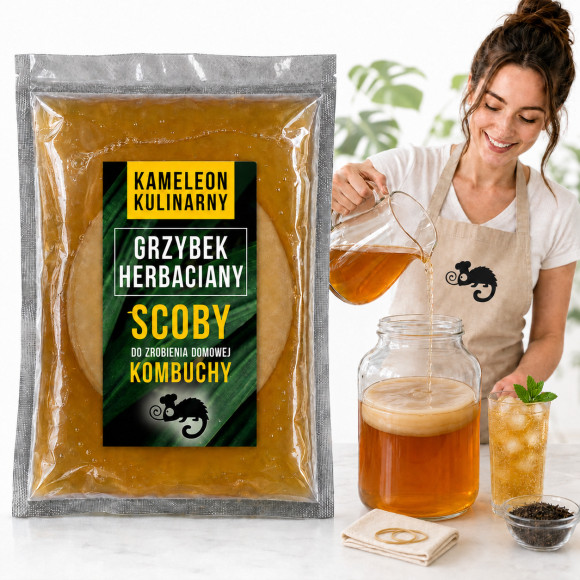 KAMELEON GRZYBEK HERBACIANY scoby 6,5 + starter 200ml DO PRODUKCJI KOMBUCZY